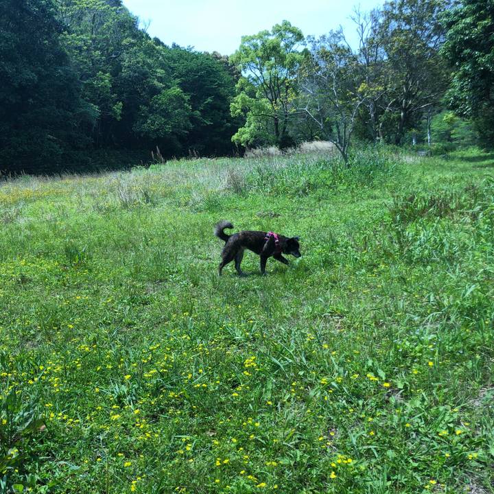 C1173717 8b0b 4959 894c 5dccfadcd21e 1651678042462