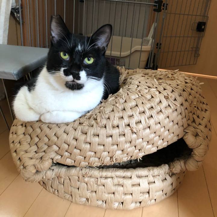 C1173d34 13dc 448d 9c60 346570c9dfa3 1541328533530