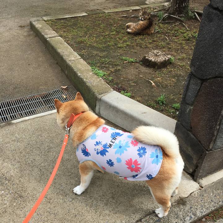 C117ab2e 1ab9 4ff8 9153 285e2573a061 1613298841940