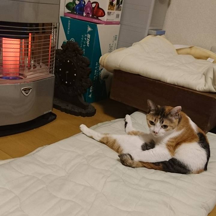 C117da37 05bf 465f 9e48 90a13b1f63ac 1514716515157