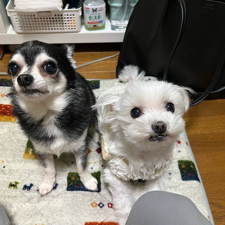 C1181352 f073 4ace a52f d1b93253a72e 1704971108087