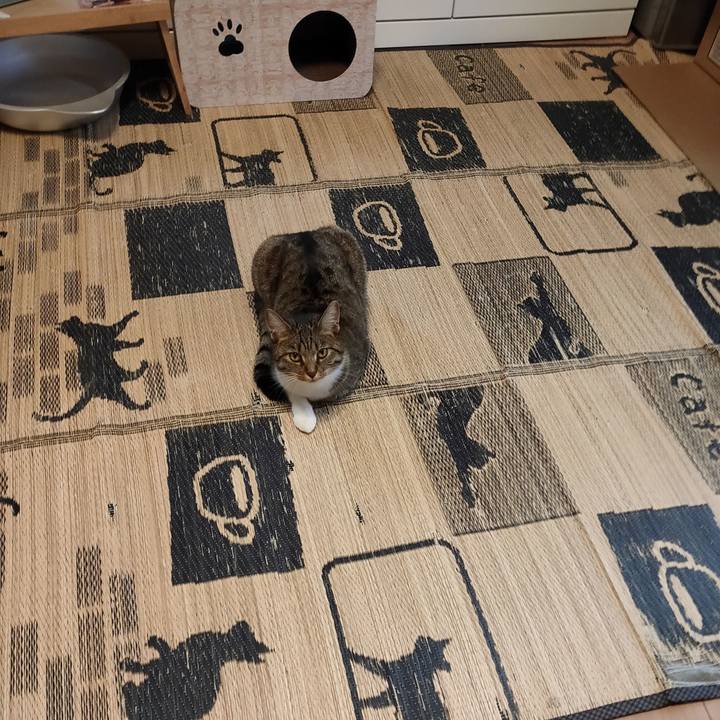 C11827e1 5e3e 4a68 9366 253c11b4f83f 1661934790842