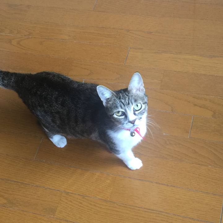 C1185245 d00b 4e5e bbd2 92a52b8c0d52 1569023323109