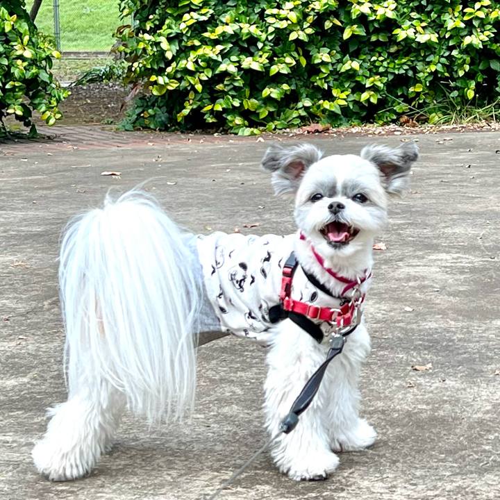 C1187e6c e0f6 4624 9e3c b1c40552d704 1698883768035