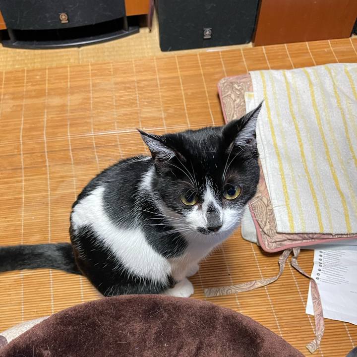 C1188b8e ce5c 4f15 b5ba 910a4fb71384 1755643719056