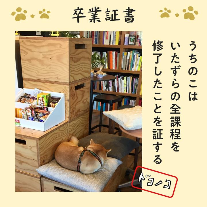 C118bbe4 0b0d 486b 8f92 fc8c2fe83ef4 1772326923778