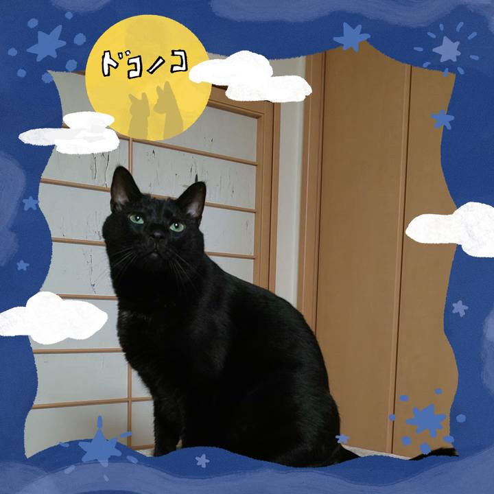 C118d42f 9e02 49b0 a9a2 9489141c174f 1726983386790