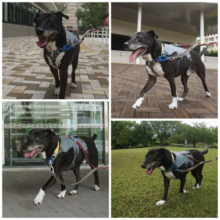 C11919cf 8add 4fd9 ba23 22fecc174970 1755045843882