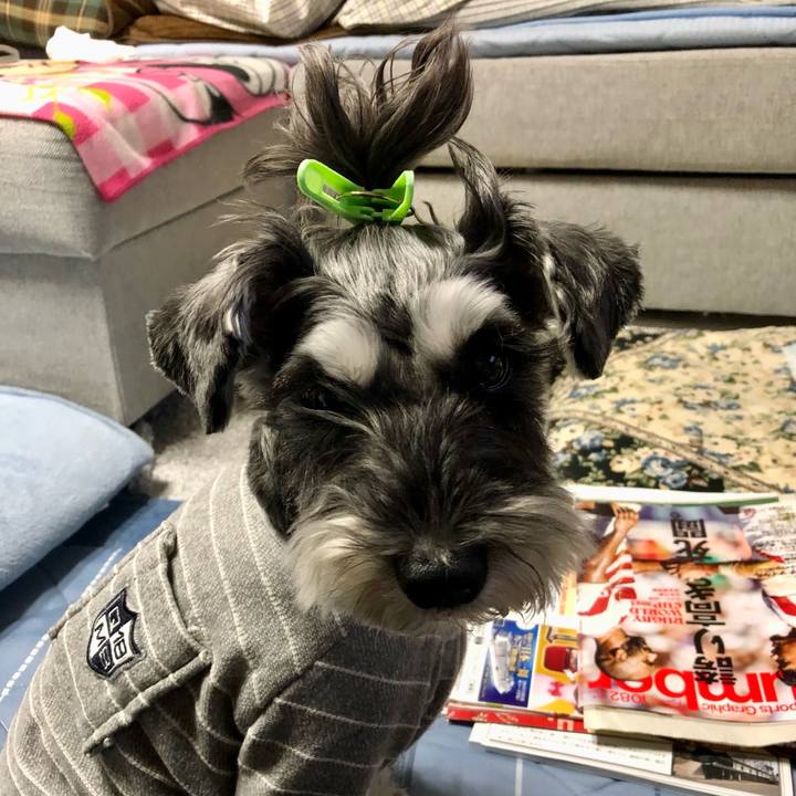 C119853a dcf7 4916 ac64 f1c3403a938d 1698751499461