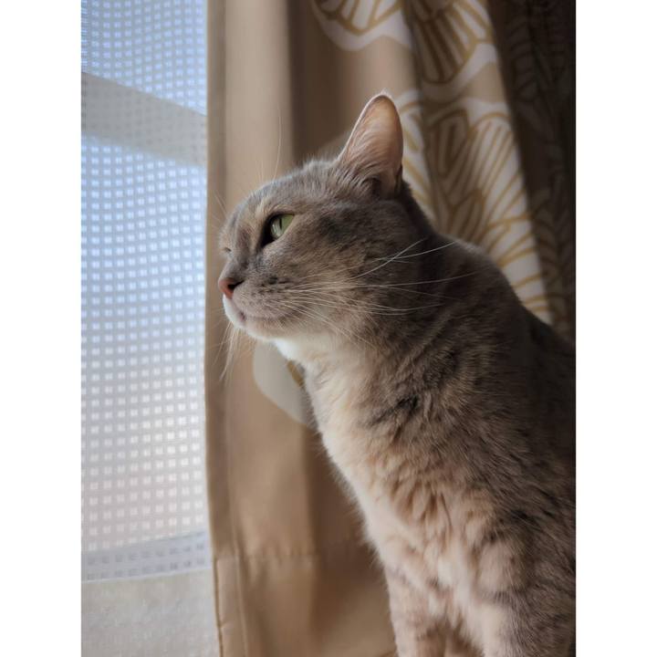 C119b853 93d9 4725 a794 ee74fc2e6589 1695354228909