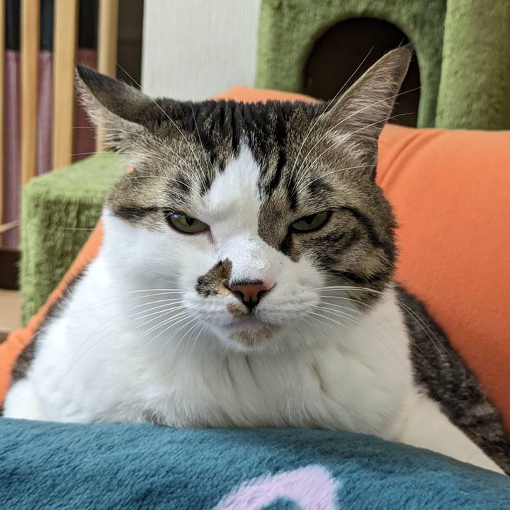 C119cd40 2f12 489b bf18 835548f60771 1706340566922