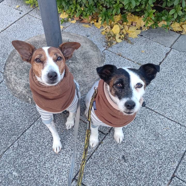 C119d341 144e 4bcb 894f 7670431a4afe 1701990012924