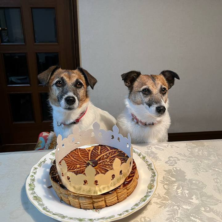 C119ec08 8a6b 42b3 964d a316a6d50b6f 1705725186676