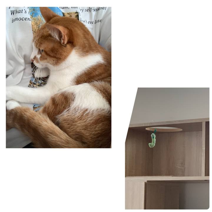 C119f7e4 1587 4dbe baa0 5dc8414c951e 1607221334182