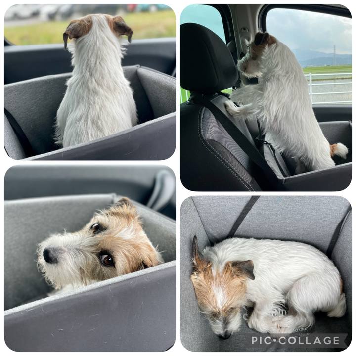 C11a0ced 2630 417f ab01 3346c8de1d98 1623639779270