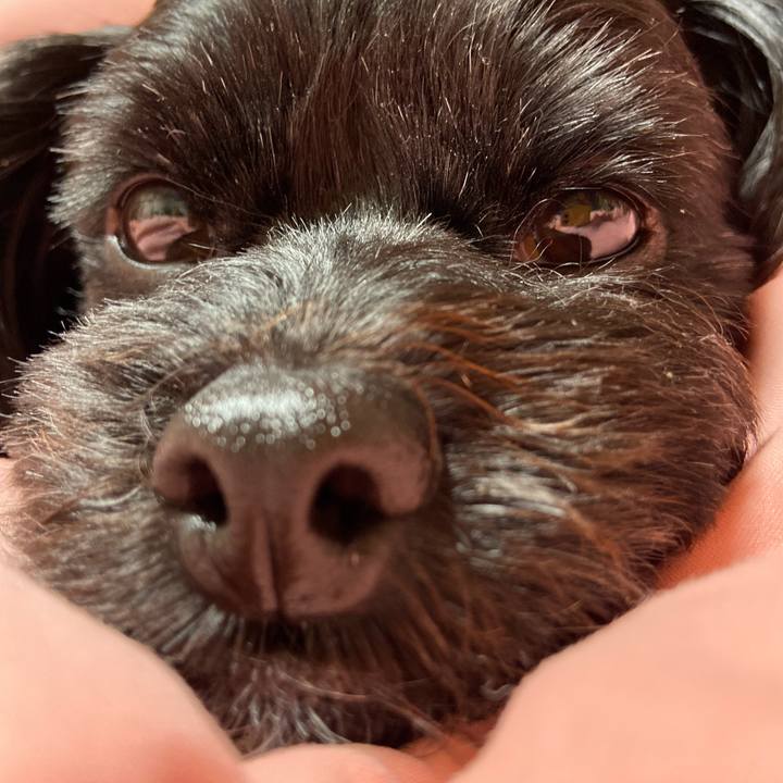 C11a79c3 dfea 468c bc81 d10dee7ff9a0 1575798684250