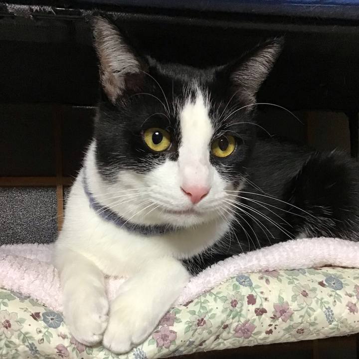 C11a85a4 94ad 4920 9778 49fa41f9dd3b 1668601732256