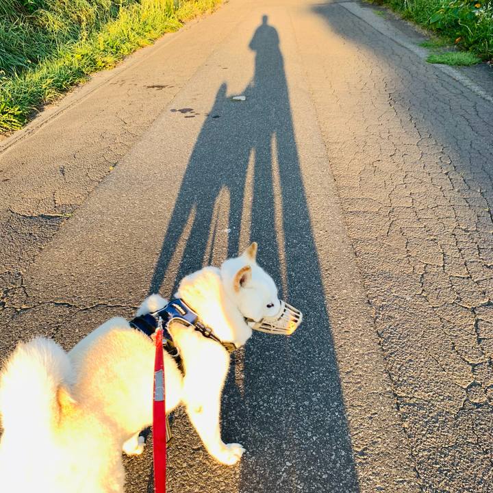 C11a9c00 2b4c 41a8 a6f3 d59ac9a89576 1631307992749