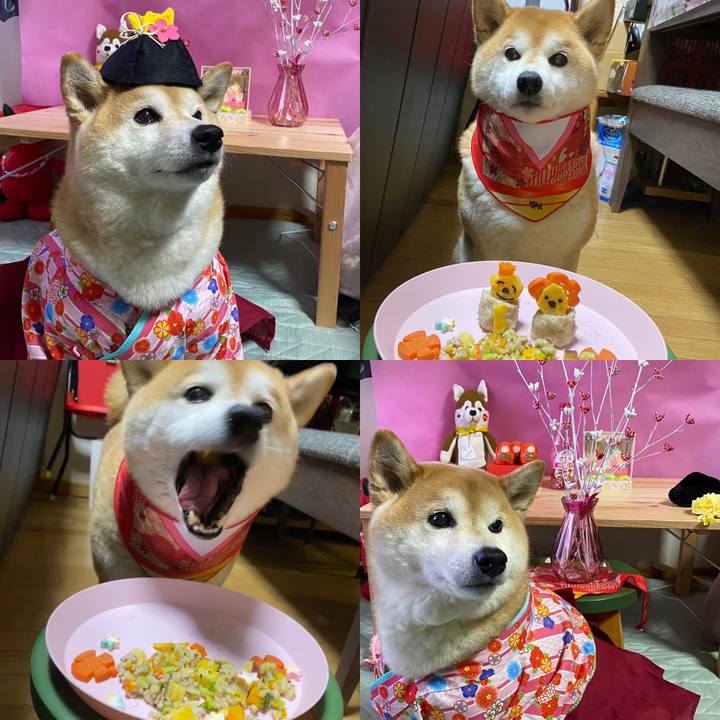 C11aa85f f055 4b65 9bd5 a068587e7bcc 1677934714395