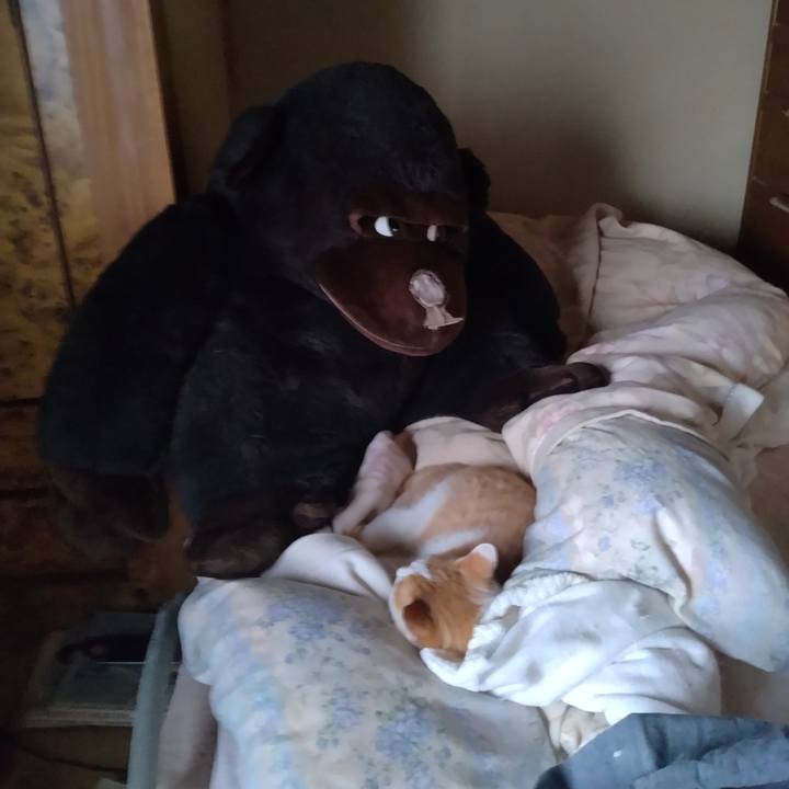 C11aab56 c296 4366 9fbe a6fc2b6aa24a 1761350587678