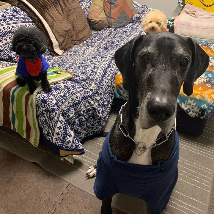 C11adcc7 41bb 4238 9085 5e62092030ea 1580078381494