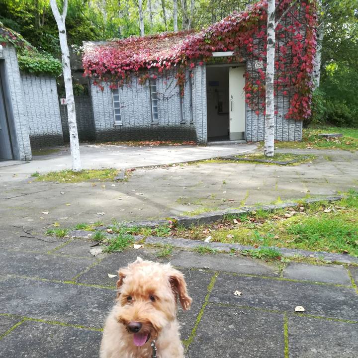 C11ae334 d464 4c01 8443 302722c72542 1537404050883