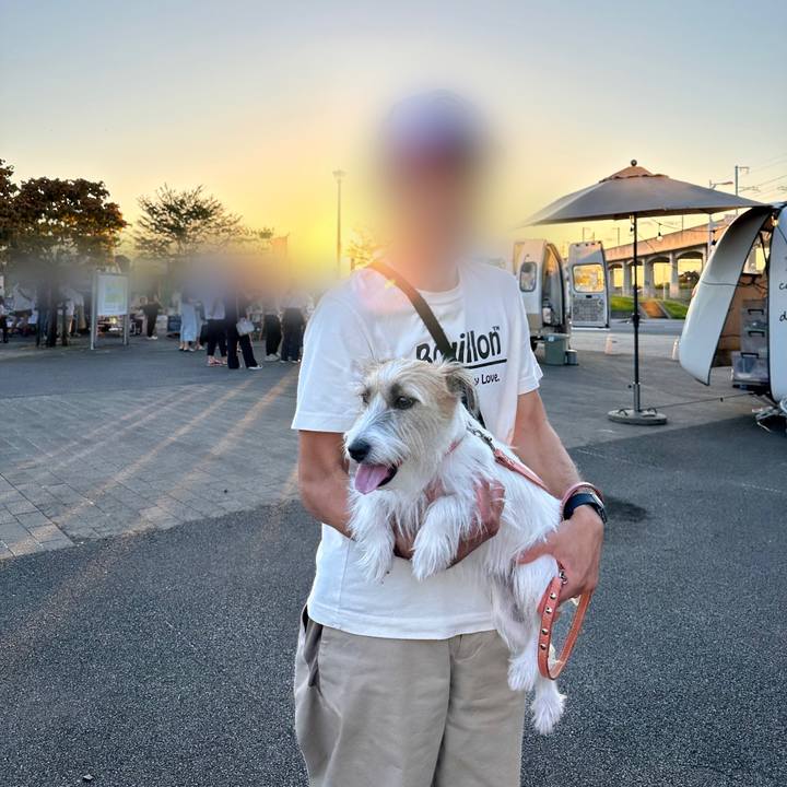 C11b6953 79a4 4471 a137 c17d98ab35f7 1695554651701