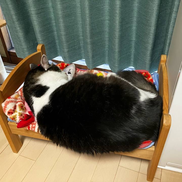 C11b8041 a805 4c67 afa5 e6e57bcca9f6 1724435871688