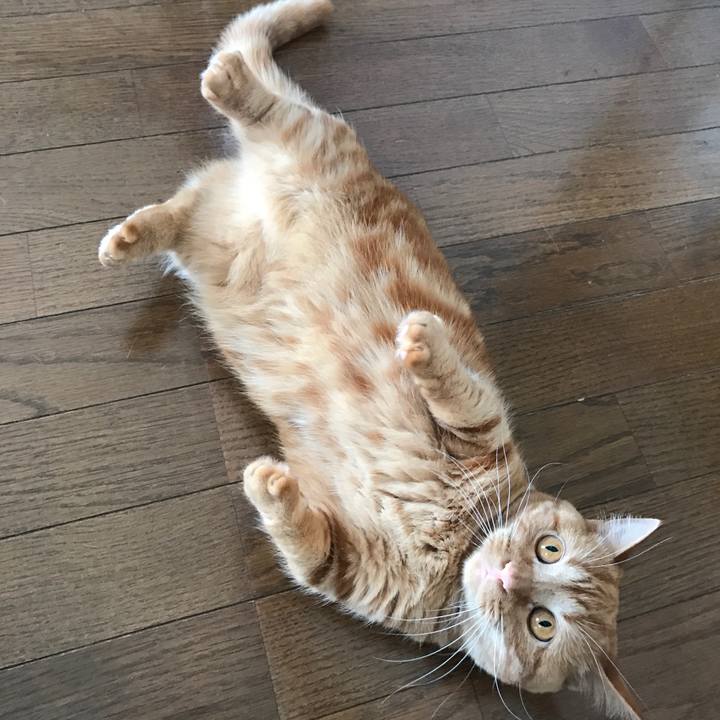 C11b9f65 da85 43cc 92eb 14c500df877d 1521003893984