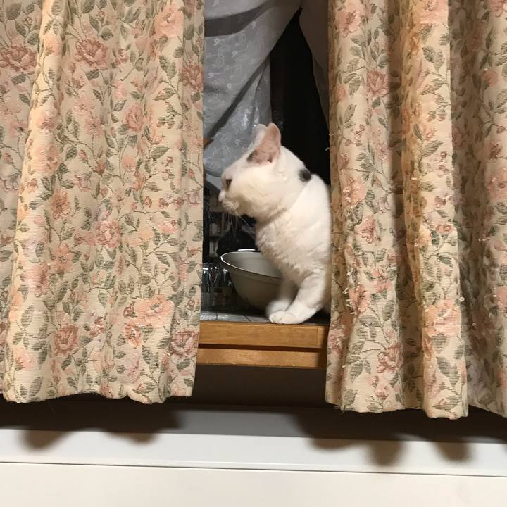 C11bc193 dcea 48ce 879b e7d26a9488b1 1578138900482