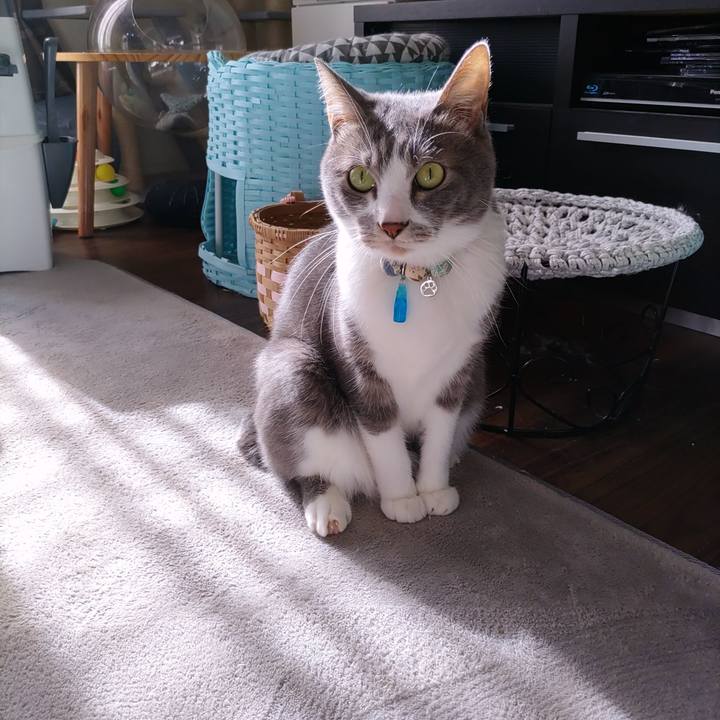 C11bd1c4 6e95 4ee4 a654 b08454c3f4f6 1700882505183