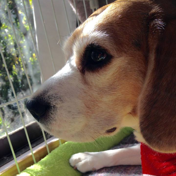 C11bd7f6 c737 486e 8b0a 3214540c4c67 1732680976654