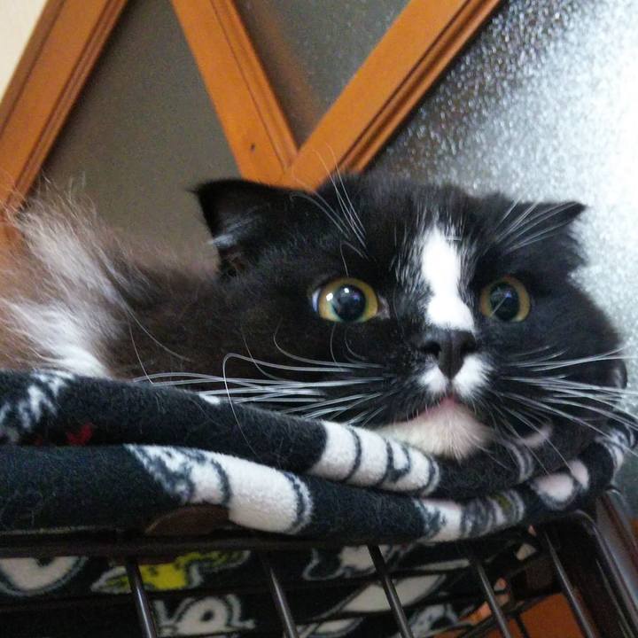 C11c13b8 8401 41bb b808 4ff89c09c7dc 1665756769316