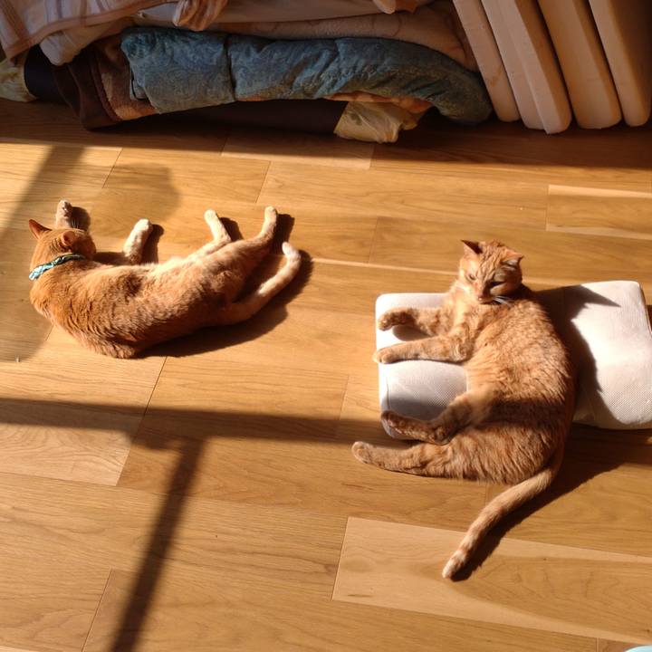 C11c2990 63cf 4b4c 9154 71c956025154 1736941674455