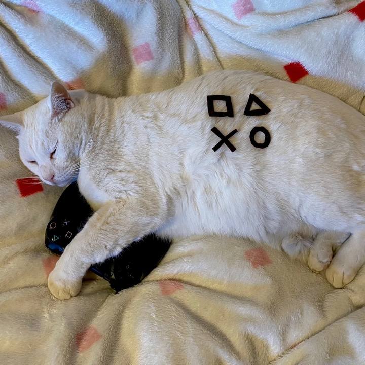 C11c3441 f3e7 4a2c b731 8d284e761c13 1706713713190