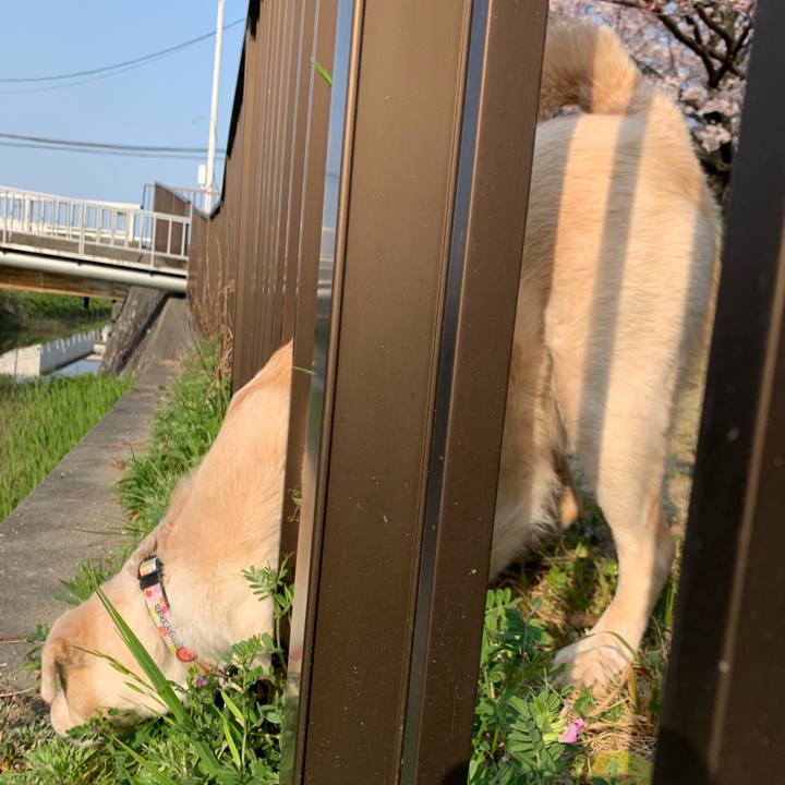 C11c67c1 8b71 43d4 96d8 bacda8824283 1554596644134