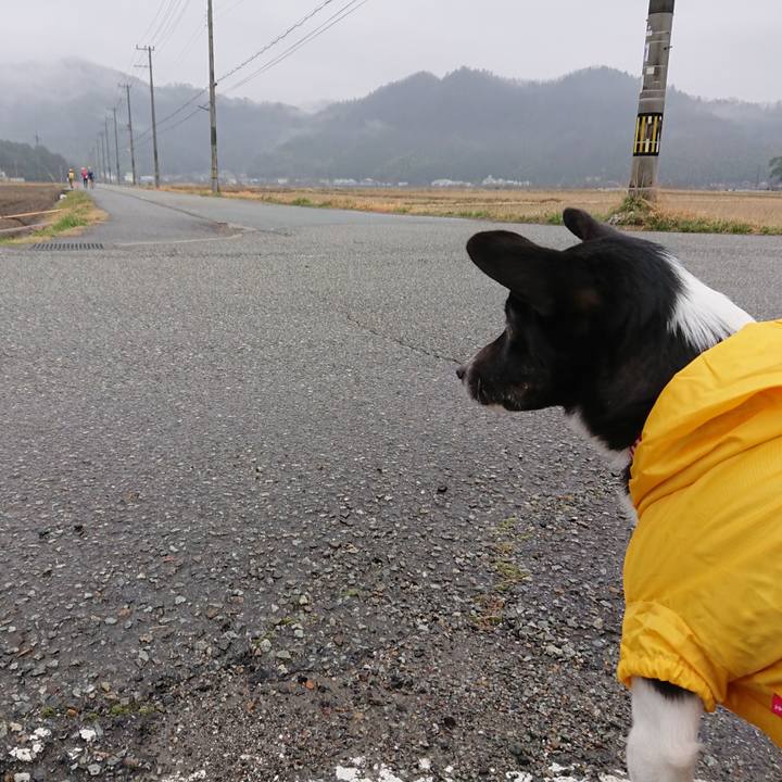 C11c68fc ee29 482b 8e45 2df035f8ff7c 1521419158978