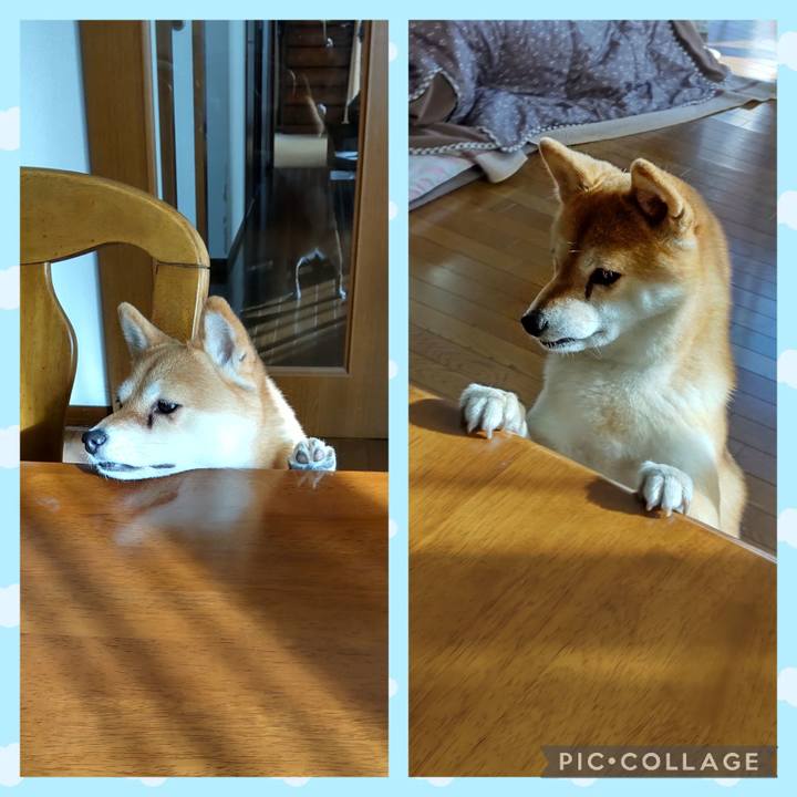 C11c6e89 0c65 4a48 bc9e b8e65216fc0d 1738132144865