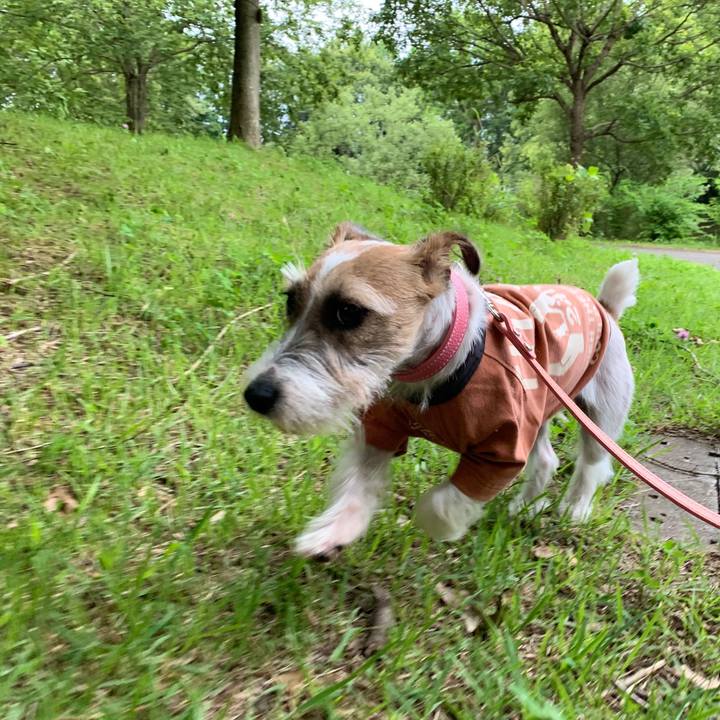 C11c733b ea81 4f4b 86e7 72a7792a27d9 1592469627935