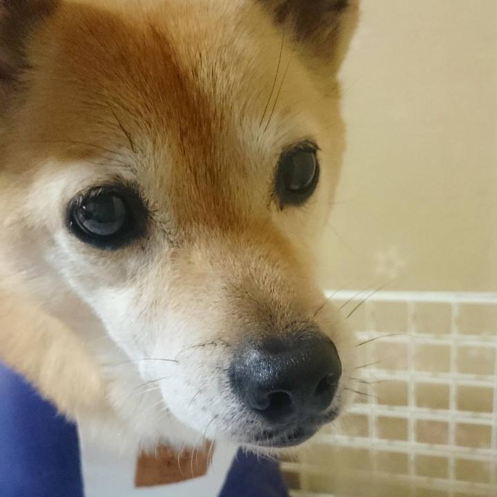 C11c7376 d492 4edd a217 cc579dcaeb85 1596709971546