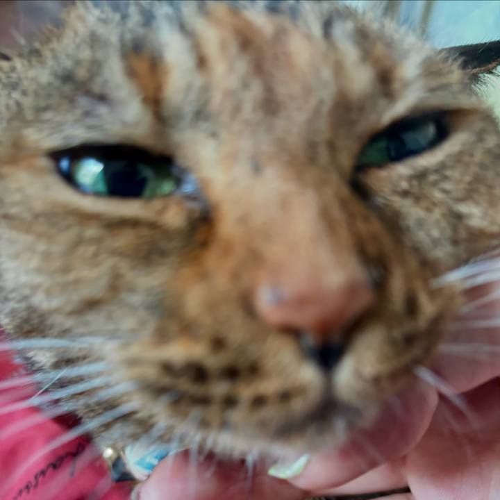 C11c7619 d2a6 4d22 a2f1 8660a0ff01ca 1722467784603