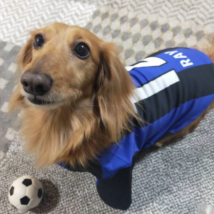 C11c9561 5b3c 4486 8ea1 4e1464d0bb92 1677907809361