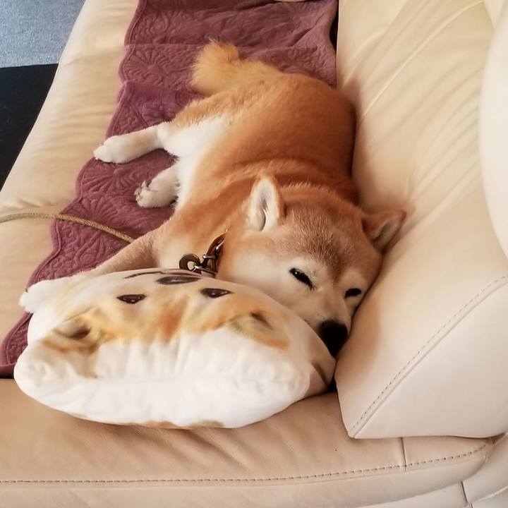 C11c998c 155b 47e7 b000 46c21acb990b 1691108782609