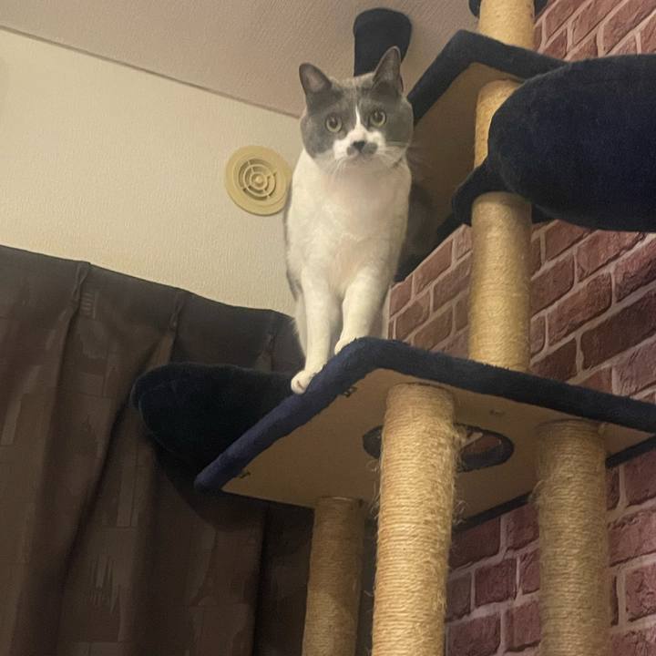 C11cb7a4 8563 4ab0 a8a7 32d9abb95f91 1708272664106