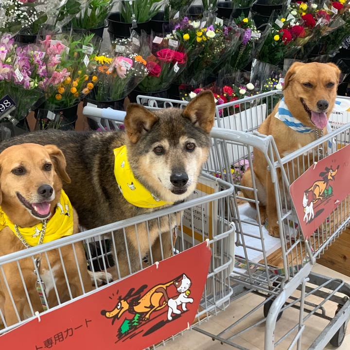 C11d0650 e003 4b88 832d 4209aa0d3912 1565003342454