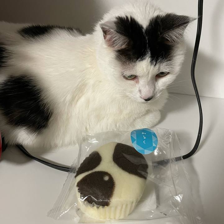 C11d18c7 6884 4391 9e78 dd9a9b20a511 1619617846931