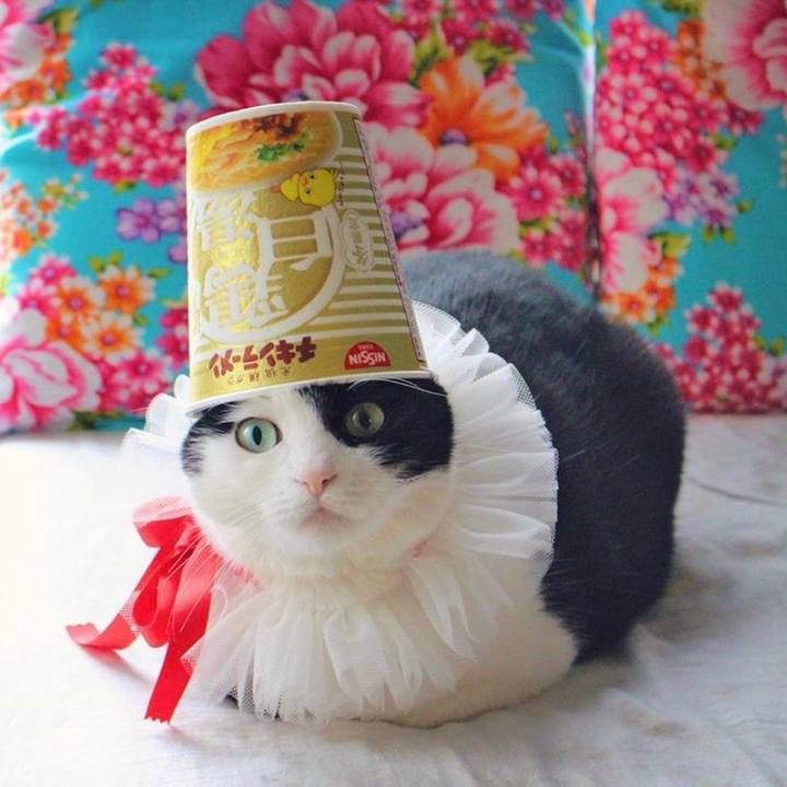 C11d1c8a 1373 4c47 9daf 18d4309aef38 1556443631621