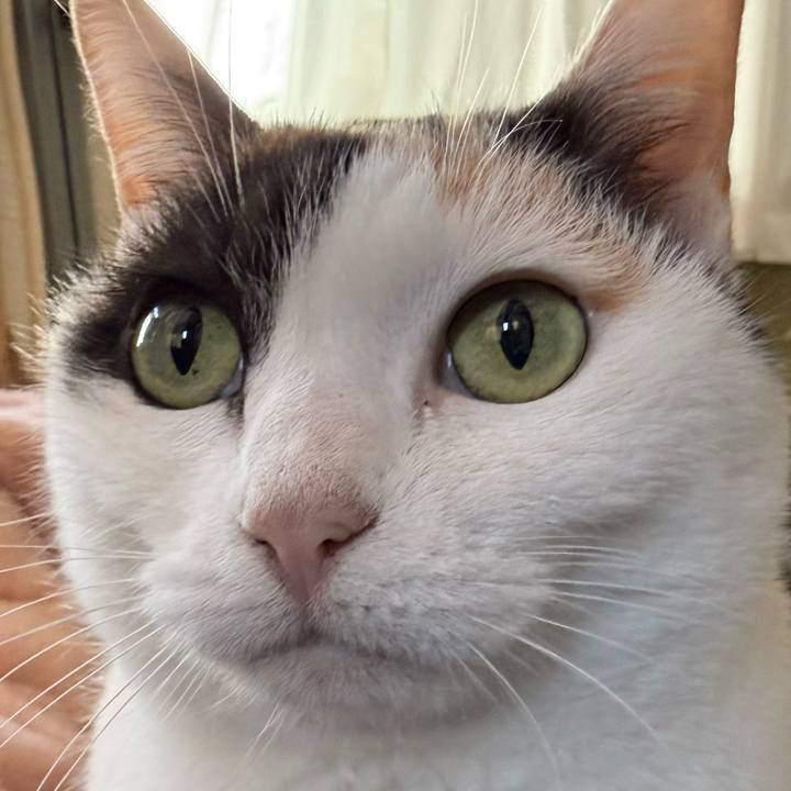 C11d4533 019a 45ab a733 70b1bd5c6760 1768267532996