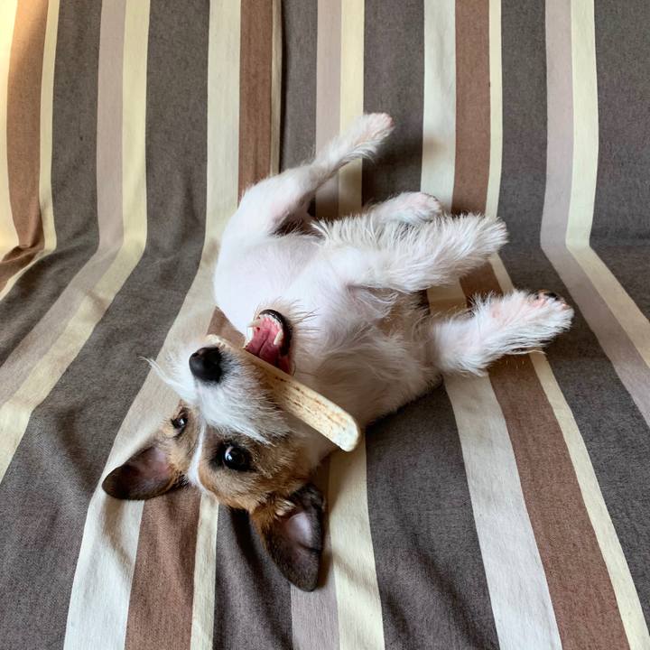 C11d47a1 295d 4c40 988c 89a34d9141f5 1581462498677