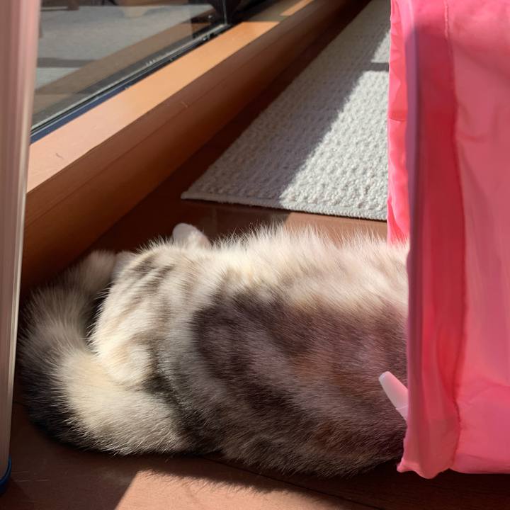 C11d6e78 bfbd 4484 a894 92c5daecd372 1706920825188